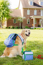 Load image into Gallery viewer, Beale Street Blue & Barbados Blue Backpack