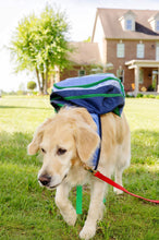 Load image into Gallery viewer, Beale Street Blue & Barbados Blue Backpack
