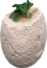 Load image into Gallery viewer, Dino Dig Excavation Kit