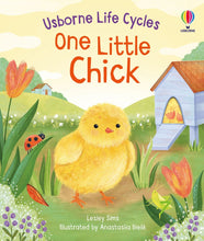 Load image into Gallery viewer, One Little Chick