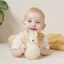 Load image into Gallery viewer, Roly Poly Bunny