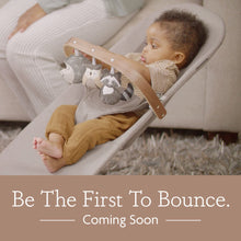 Load image into Gallery viewer, *Coming Soon* Mira 2-in-1 Bouncer &amp; Seat
