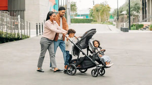 Vista V3 Stroller