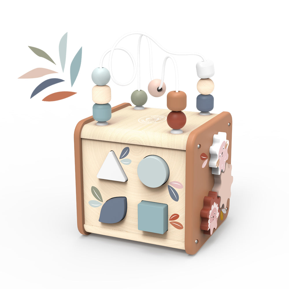 5-in-1 Activity Cube