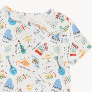Bach & Roll Magnetic Modal PJ Set