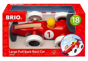 Pull Back Race Car (Large)