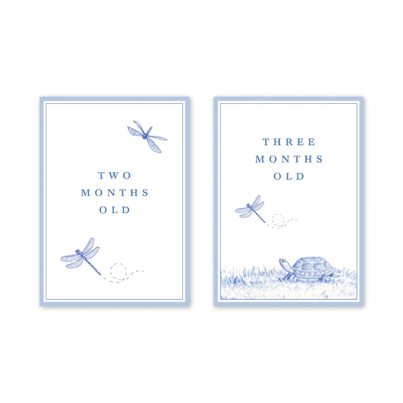 Snips and Snails Milestone Cards
