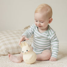 Load image into Gallery viewer, Roly Poly Bunny
