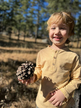 Load image into Gallery viewer, Adams Henley Gold Stripe
