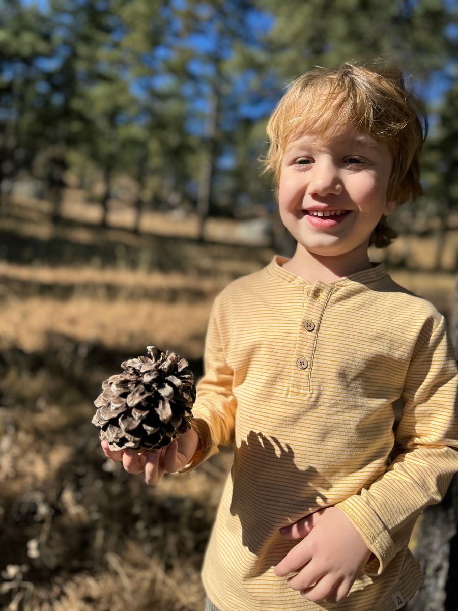 Adams Henley Gold Stripe