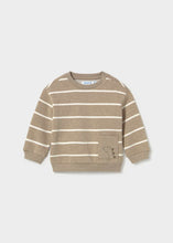 Load image into Gallery viewer, Mocha Stripe Dino Lounge Set
