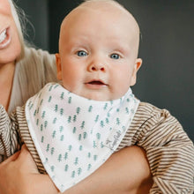 Load image into Gallery viewer, Bandana Bibs - Atwood
