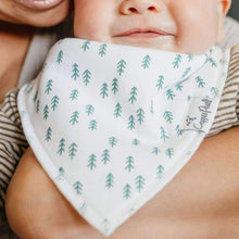 Load image into Gallery viewer, Bandana Bibs - Atwood
