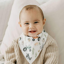 Load image into Gallery viewer, Baby Bandana Bibs - Jo
