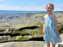 Load image into Gallery viewer, Blue Embroidered Tess Dress
