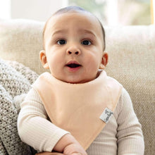 Load image into Gallery viewer, Baby Bandana Bibs - Ryder
