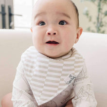 Load image into Gallery viewer, Bandana Bibs - Gage
