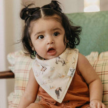 Load image into Gallery viewer, Bandana Bibs - Cheyenne

