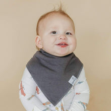 Load image into Gallery viewer, Bandana Bibs - Ace

