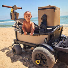 Load image into Gallery viewer, All-Terrain Cruiser
