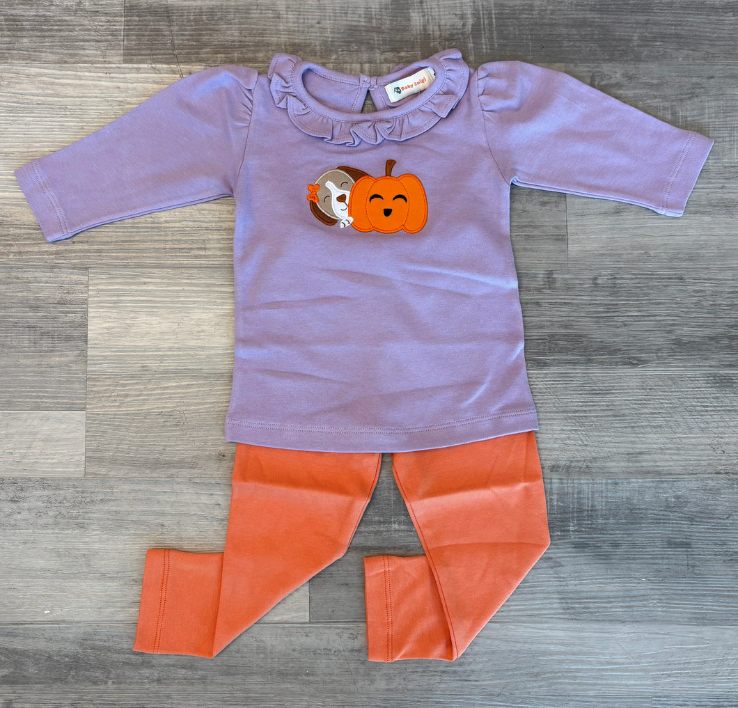 Purple Pumpkin Dog Set