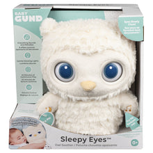 Load image into Gallery viewer, Sleepy Eyes Owl Soother
